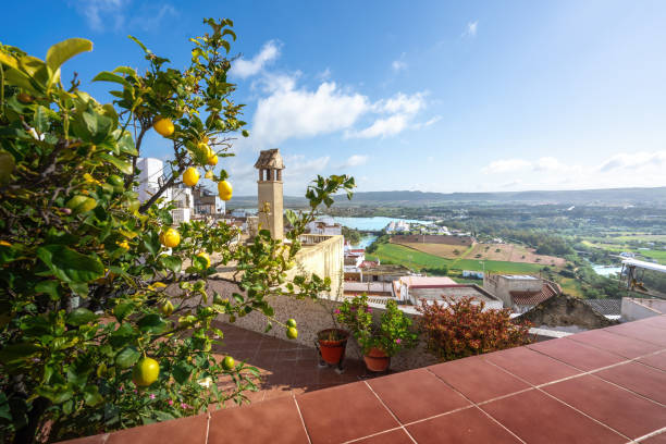 istock Lemon tree at Abades Viewpoint - Arcos de la Frontera, Cadiz, Spain 1507898900