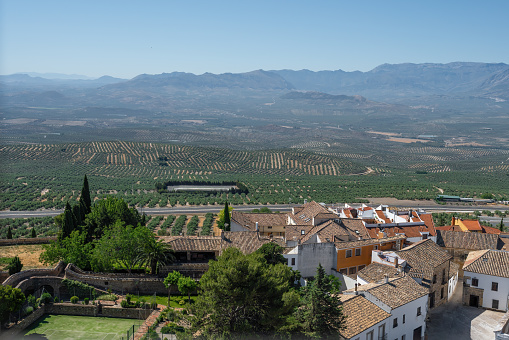 Aerial view of Guadalquivir Valley, Olive Groves and Sierra Magina Mountains - Baeza, Jaen, Spain