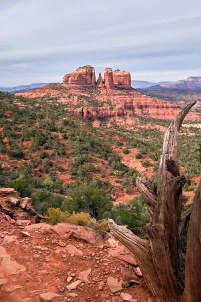 Photo of Sedona's Cathedral Rock from along the Hiline trail.