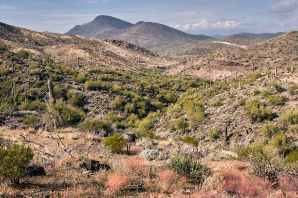 istock Open desert views across Cave Creek Regional Park, Arizona 1507927300