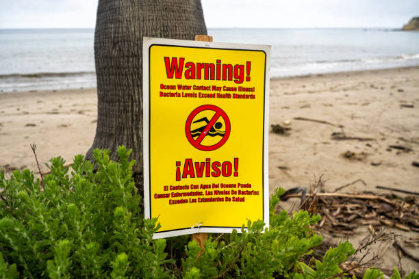 istock Warning sign for swimming on the beach 1508029949