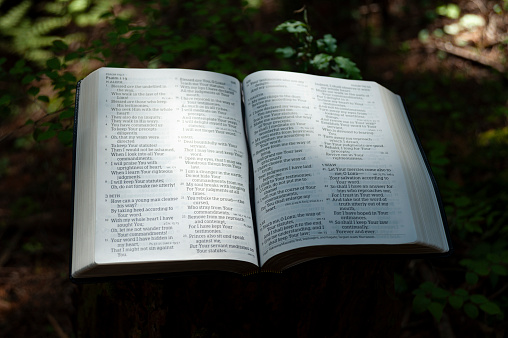 Open Holy Bible on Psalm 119 outdoors on pulpit of cut tree trunk illuminated with beautiful sunlight with green leaves background.