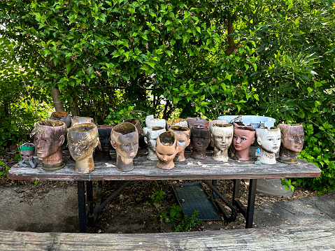 Planters made out of mannequin heads