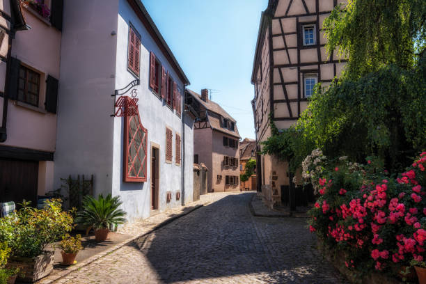 istock Alsatian half timbered houses in colmar 1508185783