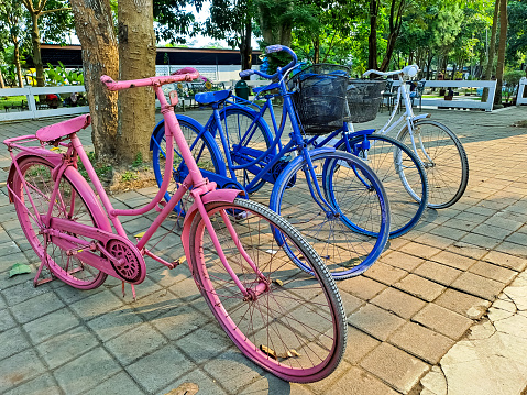 Colorful bicycle are parking in the city park with green trees around