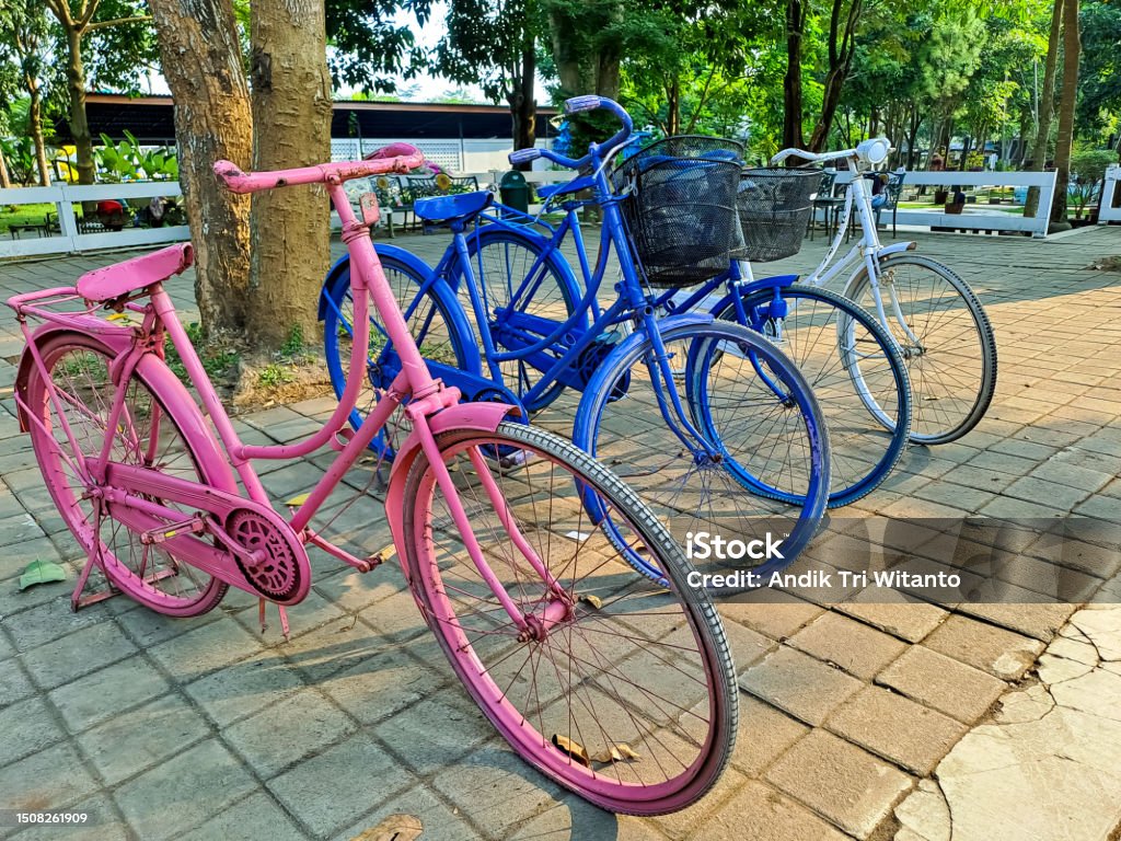 Colorful bicycle Colorful bicycle are parking in the city park with green trees around Bicycle Stock Photo