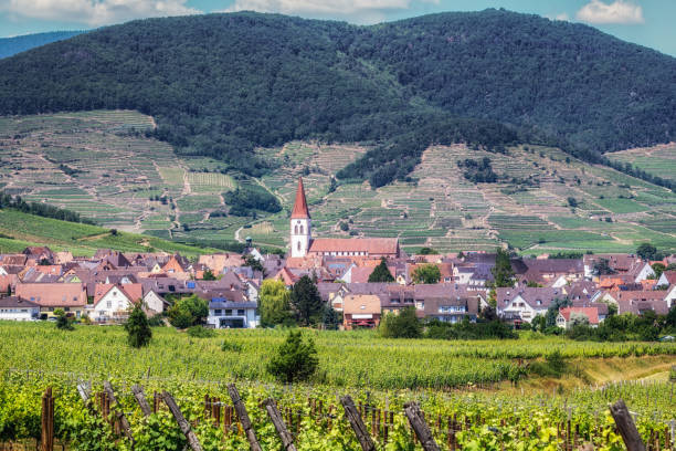 istock Ammerschwihr alsatian vineyards 1508274045