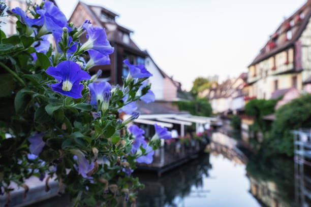 Colmar Little Venice Canal view from saint pierre bridge. Famous travel destination in Colmar, France.