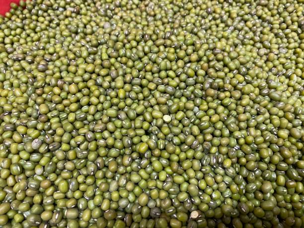 istock Green bean or mung bean background 1508314805