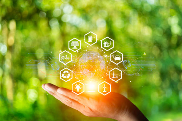 istock concept eco earth day. green tree growing in a light bulb On the background blurred image of green leaves and there is a golden light in the morning. energy saving and environmental protection. 1508316181
