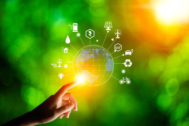 istock concept eco earth day. green tree growing in a light bulb On the background blurred image of green leaves and there is a golden light in the morning. energy saving and environmental protection. 1508317426