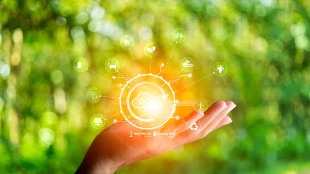 istock concept eco earth day. green tree growing in a light bulb On the background blurred image of green leaves and there is a golden light in the morning. energy saving and environmental protection. 1508317447