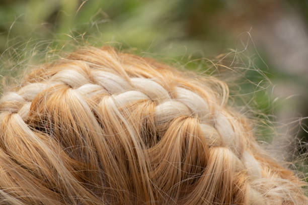 braided spikelet on the head of a young blonde girl close up stock photo