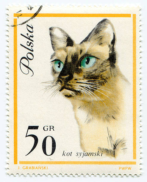 istock European cat on a vintage, canceled post stamp from Poland 150838617