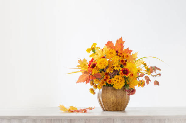 istock autumnal bouquet in ceramic vase on white background 1508479474