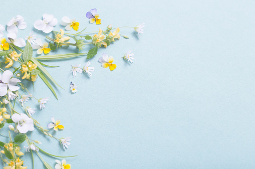 bright bouquet of peonies, buttercups, lupines, daisies and other flowers as a floral background.