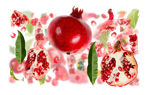 Pomegranate fine art studio light