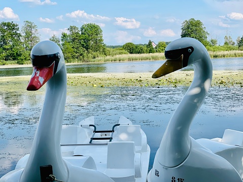 Pedal Boat Swan Boat Lake