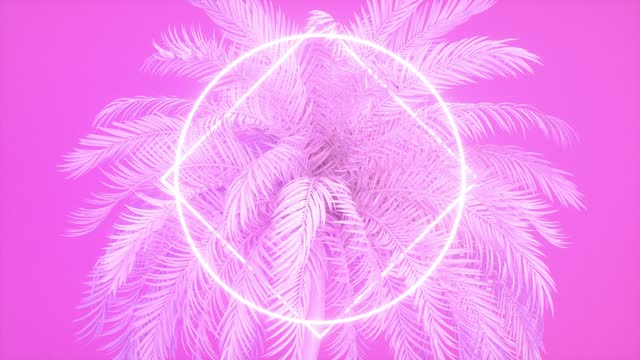 Neon lighting frame with palm tree, summer animation background