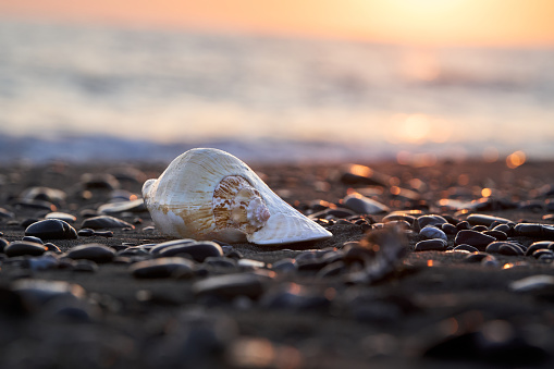 The beach of Marina di Castagneto is one of the most beautiful and natural beaches in Tuscany located on the Etruscan coast.