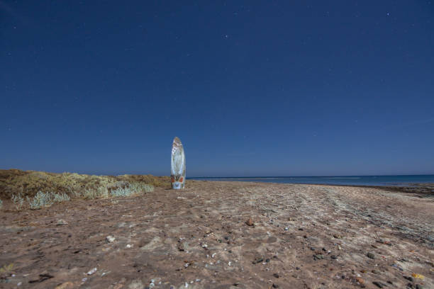 istock windsurf board at the sandy beach and blue starry night on vacation in egypt 1508536182