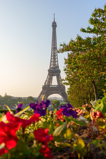 The Eiffel Tower and flower gardens illuminated by the sunrise