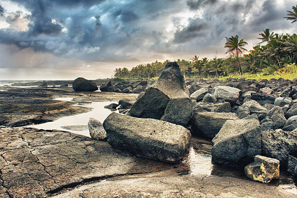 istock tropical lava beach and palm trees 150857510