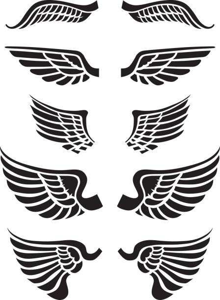 nur wings - flugel stock-grafiken, -clipart, -cartoons und -symbole