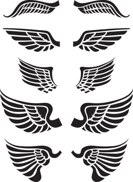 Just wings A set of vector wings to be used with logos type or images. Combine with button backgrounds or other artwork to form an ultimate mash up. animal wing stock illustrations