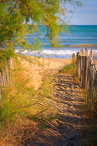 istock Beach Path to Sea with Tree and Fence 150863844
