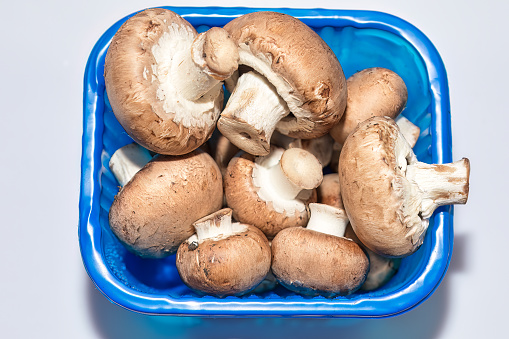 Champignon mushrooms in a blue bowl on a white background