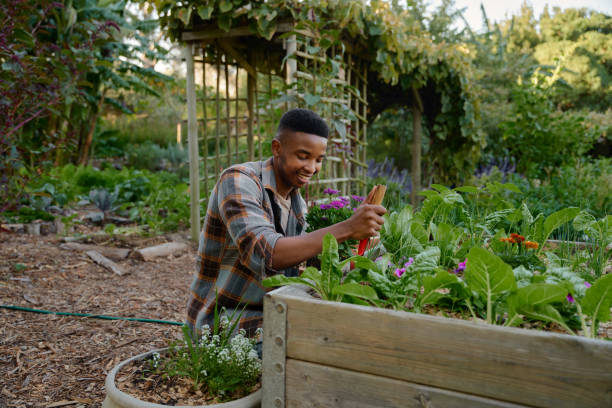 istock Young black man in checked shirt smiling while using spade in flowerbed in garden center 1508665426