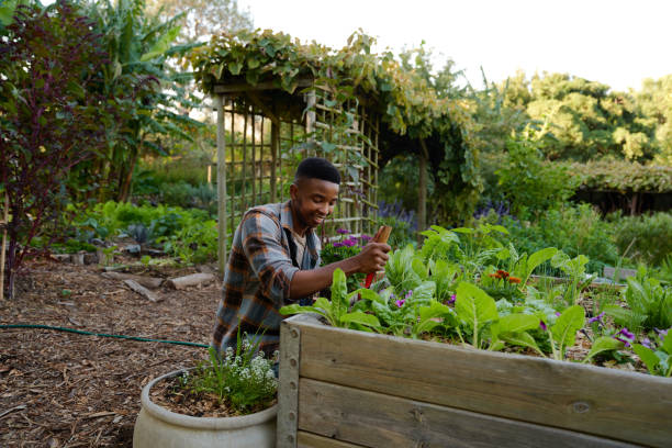 istock Young black man in checked shirt smiling while using spade in flowerbed in plant nursery 1508666498