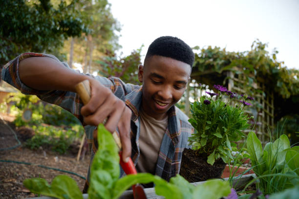 istock Young black man smiling while using spade in flowerbed in garden center 1508668582