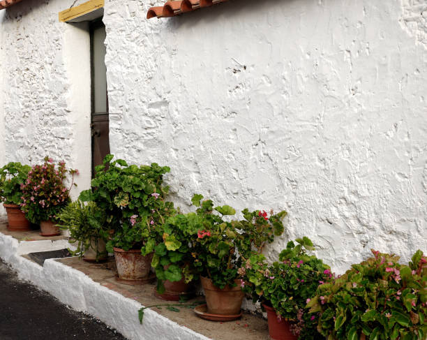 istock flowery wall, Sardoal, Abrantes, Portugal 1508670681