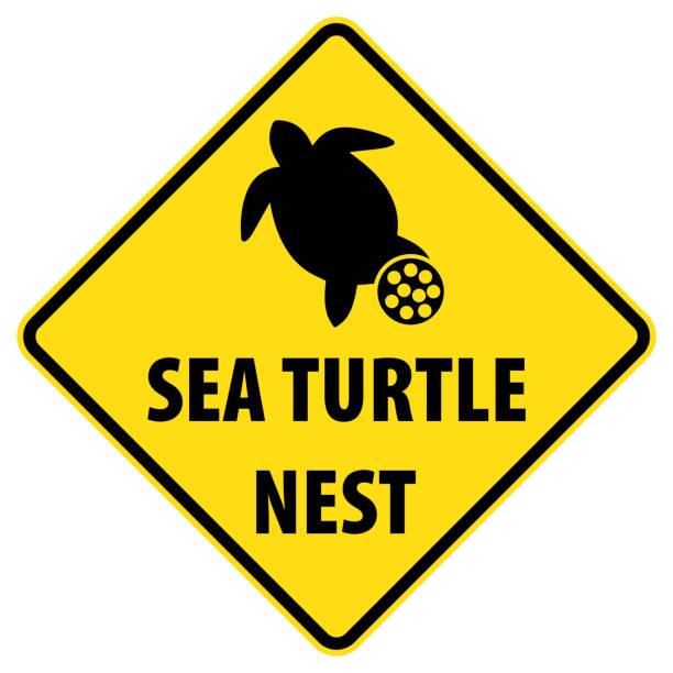 ilustrações de stock, clip art, desenhos animados e ícones de sea turtle nest area sign - sea turtle square shape square endangered species