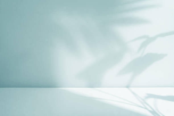 istock Interior room with natural palm shadow 1508678273