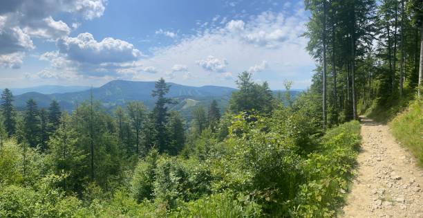 Mountain landscape with hiking trail.