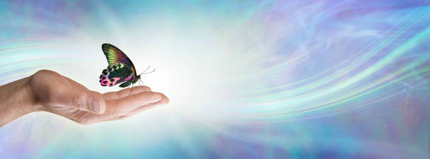 istock Special moment with a Butterfly spiritual message memo background 1508687479
