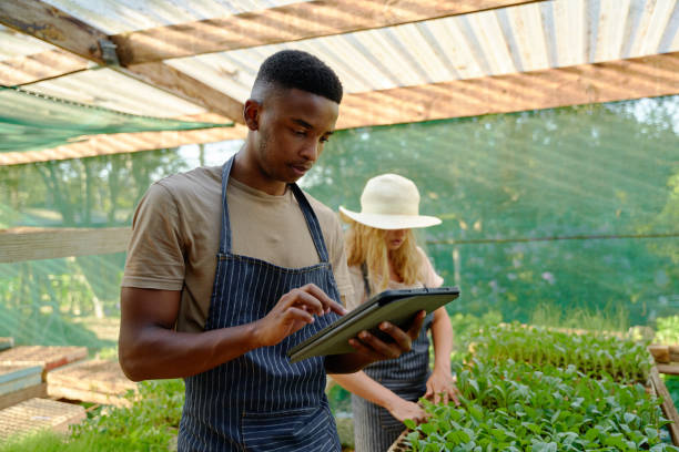 istock Young multiracial couple using digital tablet while examining plants in plant nursery 1508698258