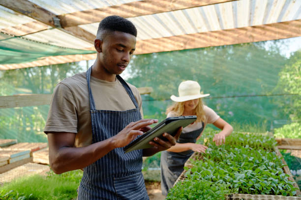 istock Young multiracial couple in aprons using digital tablet while examining plants in plant nursery 1508701378