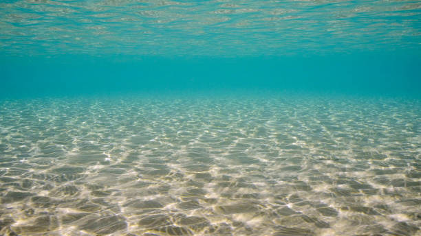 istock Sandy shallow water in sunburst and glare on seabed sand. Sunlight passes through surface of turquoise water and glares on sandy bottom in shallow water on bright sunny day, Red sea, Egypt 1508704003