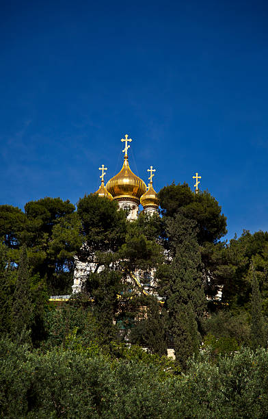 iglesia de maría magdalena de árboles - cathedral russian orthodox clear sky tourism fotografías e imágenes de stock