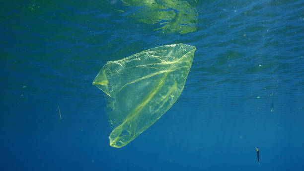 istock Used yellow disposable plastic bag drifts under surface of blue water in sunrays. Plastic garbage polluting seas and ocean, Red sea, Egypt 1508708454
