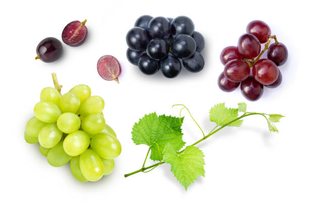 istock Various grapes and half sliced with grape leaf isolated on white background. 1508709016