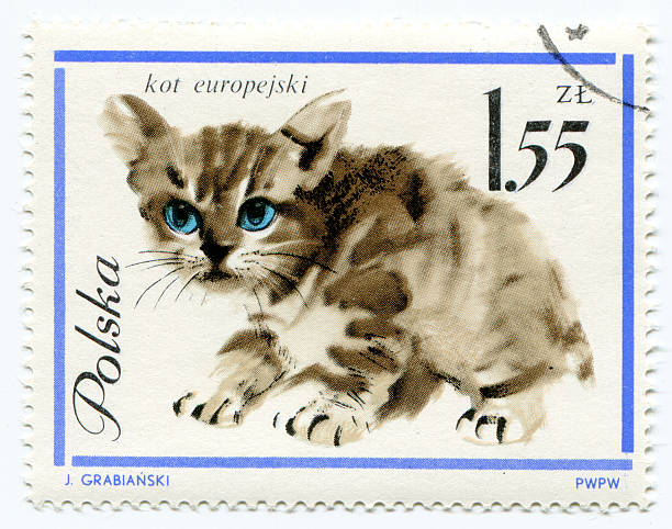 istock European cat on a vintage, canceled post stamp from Poland 150872637