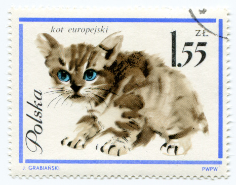 Tanzania - circa 1992: A stamp  shows image of a cat with the inscription \