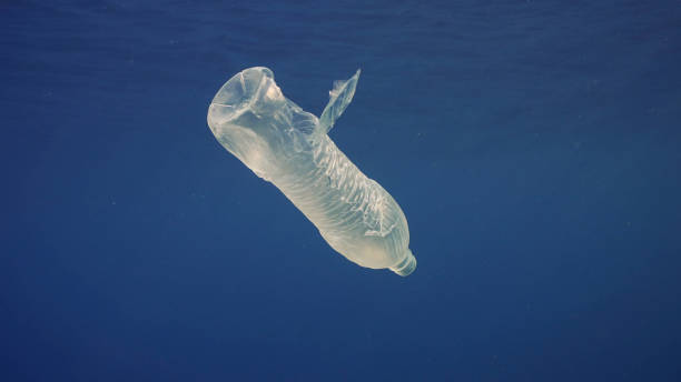 istock Disposable plastic bottle drift under surface of blue water. A plastic bottle is thrown into sea drifts in water column of morning time, Red sea, Egypt 1508738959