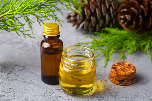Pine turpentine essential oil in glass bottle with pine coniferous leaves and pine cone. Kiefer turpentin
