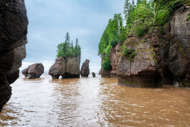 istock Bay of Fundy 1508742450